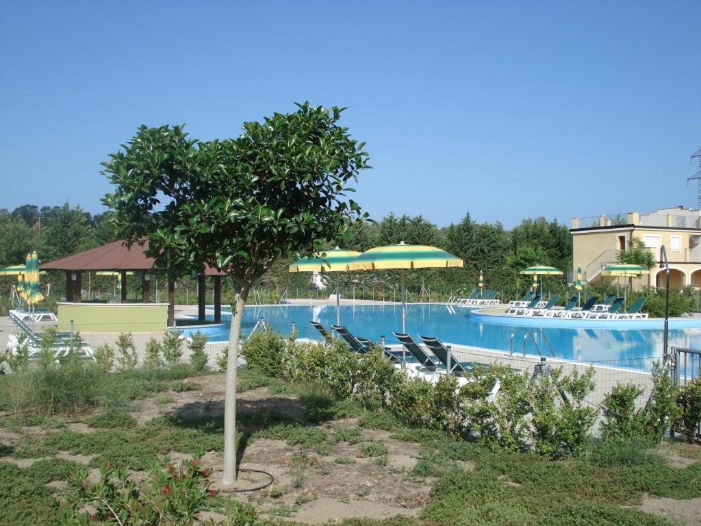 Appartement Sonia Pizzo Beach Club Extérieur photo